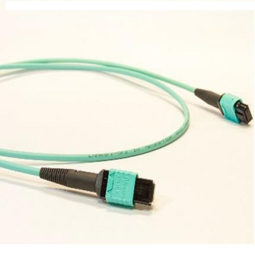 LANmark-OF MPO-MPO Patch Cords